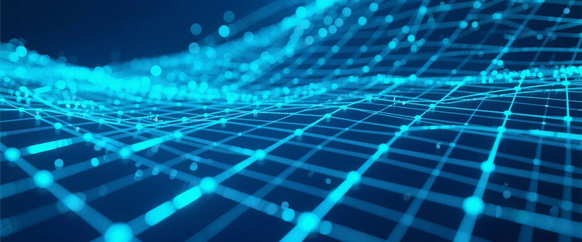 Network Infrastructure
